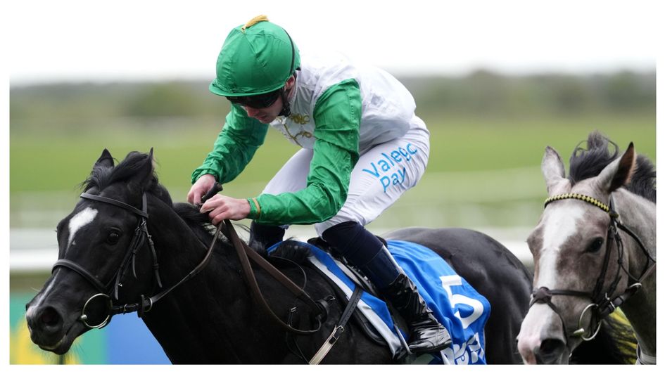 Mussab wins the Cornwallis