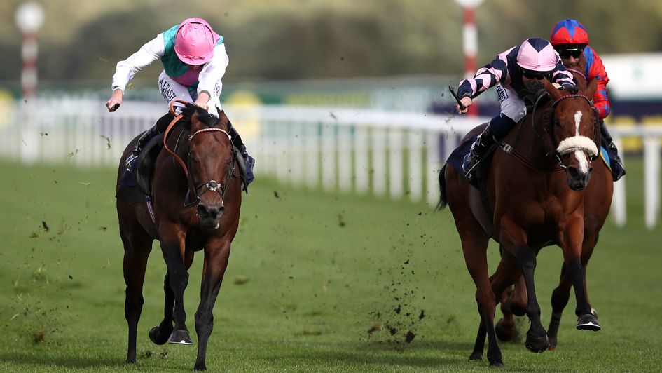 Equilateral wins the Scarbrough Stakes