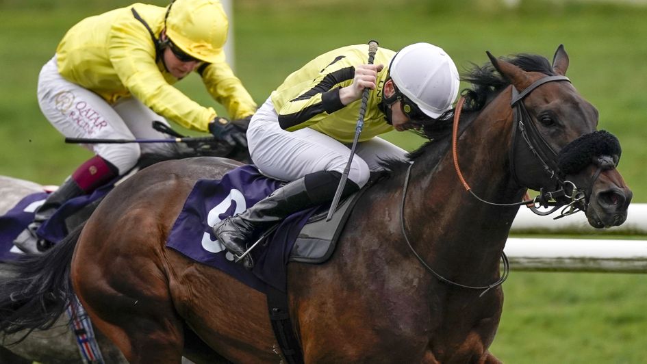 Too Friendly in action at Doncaster