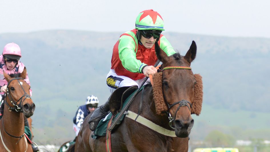 Le Patriote returns to Cheltenham in Grade 2 company this weekend