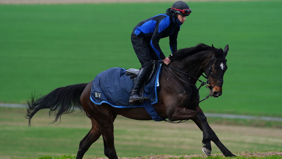 Shishkin limbering up for Aintree