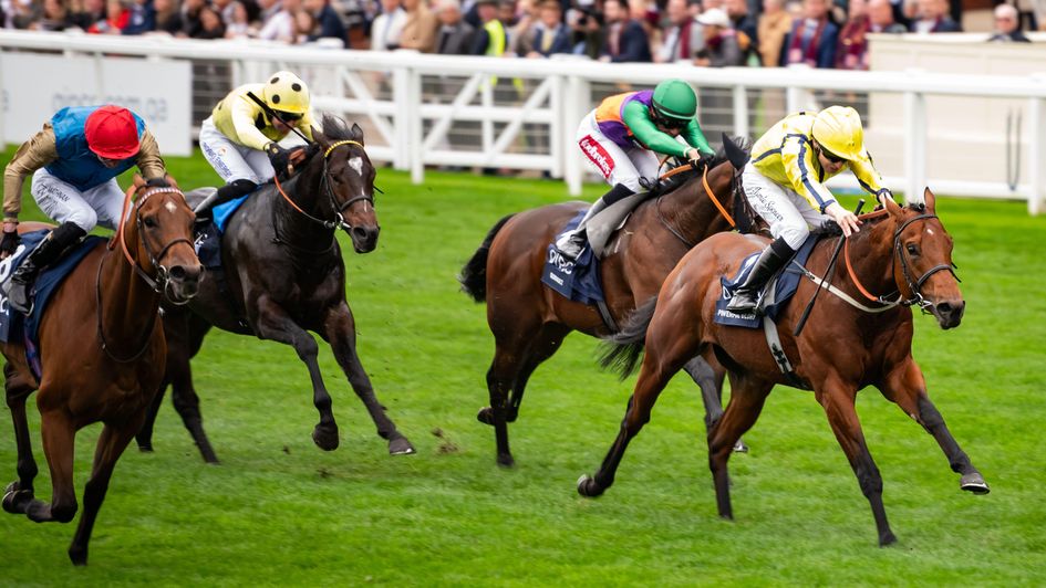 Powerful Glory wins the Champions Sprint