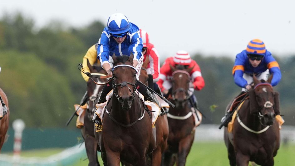 The Reverend wins at Haydock