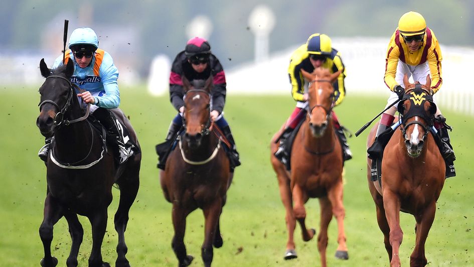 Ventura Rebel (far left) wins at Ascot from Lady Pauline (right)