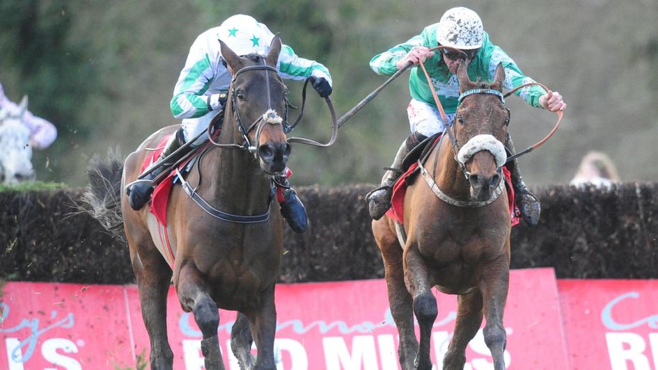 Our Duke (left) gets the better of Presenting Percy