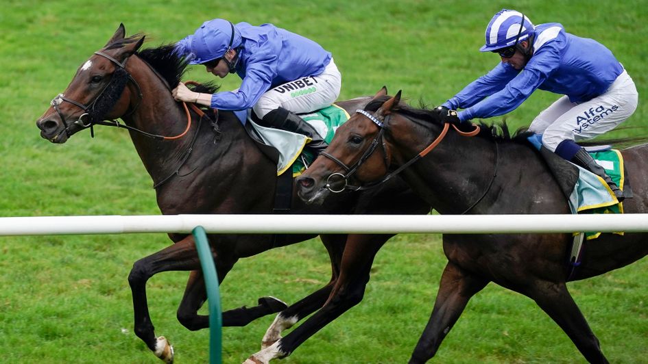 Bedouin's Story swoops to win the bet365 Cambridgeshire