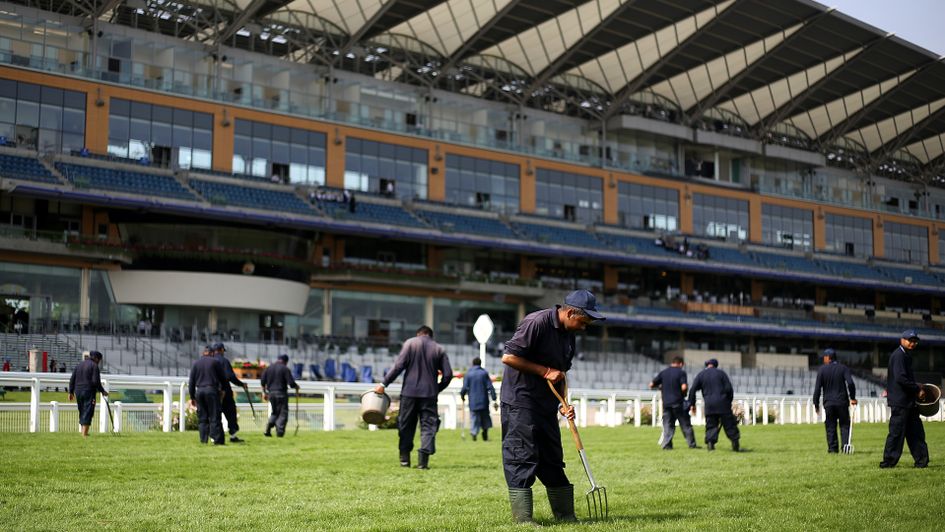 Royal Ascot groundstaff