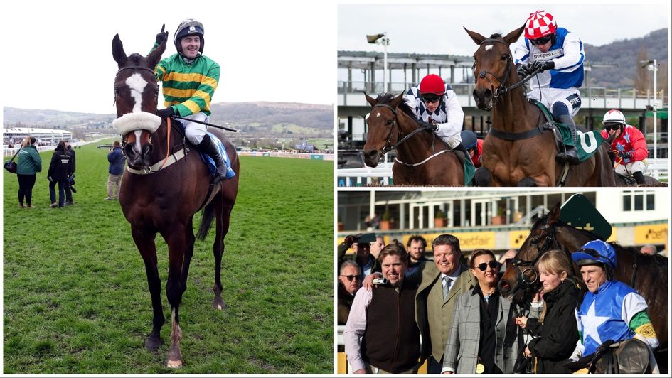 December Gold Cup horse-by-horse guide