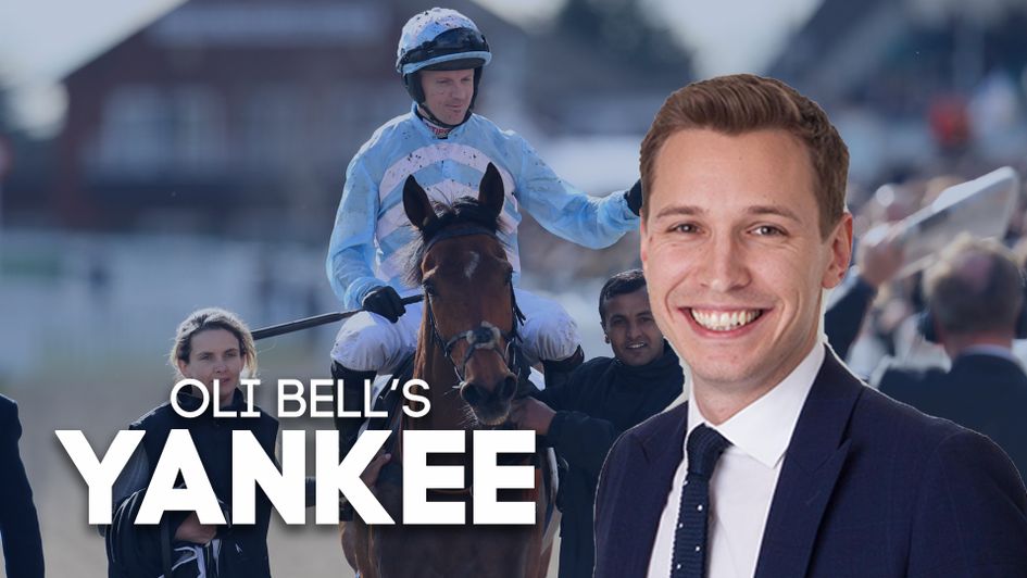 Summerville Boy is backed as part of the Yankee