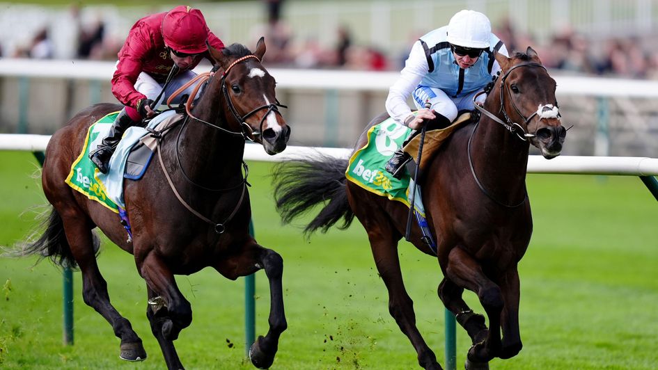 High Stock wins the Wood Ditton