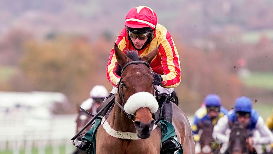 Tom O'Brien wins on Coole Cody