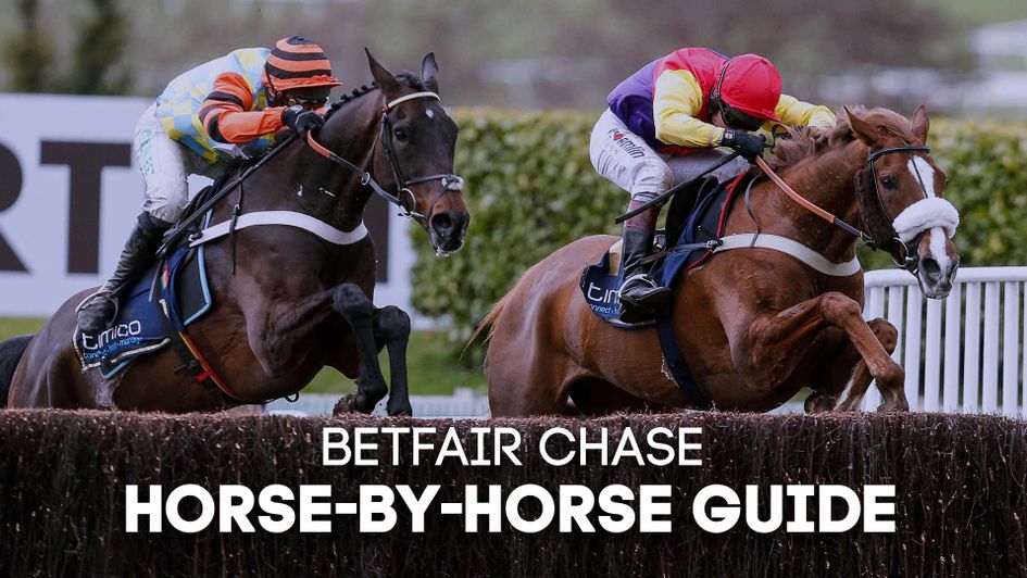 We run through all the entries for Saturday's Betfair Chase