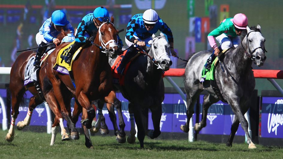 Peter Miller's duo fight out the finish to the Turf Sprint 