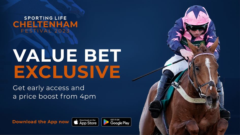 Early access to Value Bet at Cheltenham