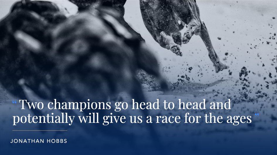 Our columnist looks ahead to the Irish Greyhound Derby