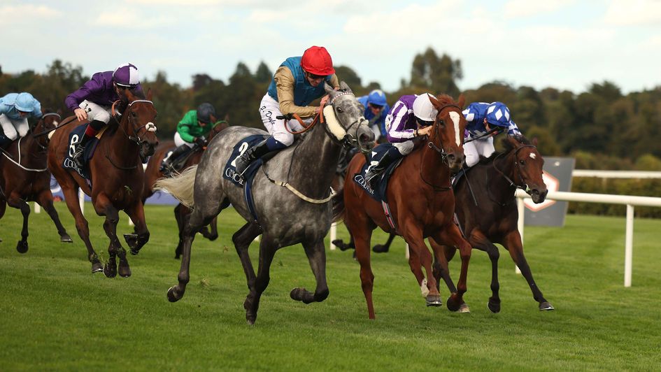 Fallen Angel wins the Matron