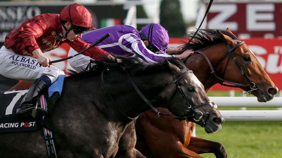Saxon Warrior: Heads straight to the 2000 Guineas
