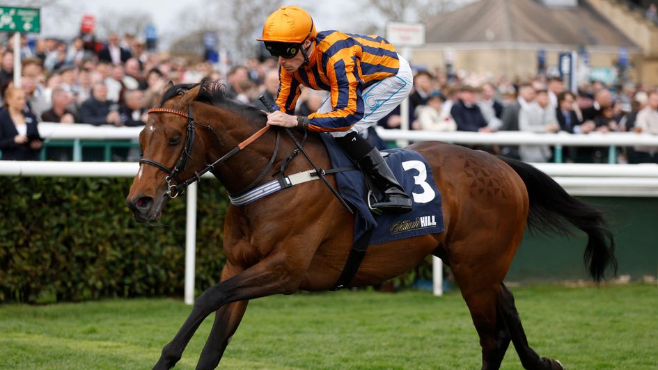 Dancing Gemini impresses in the Doncaster Mile