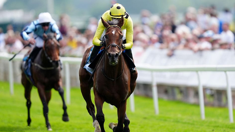 Botanical ridden by James Doyle