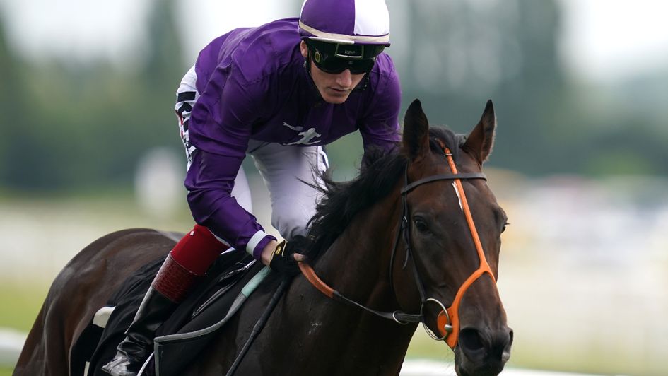 Mojo Star in winning action at Newbury