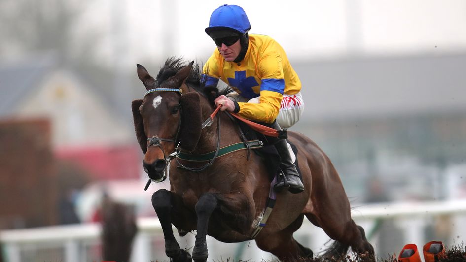 Stag Horn - impressed at Warwick