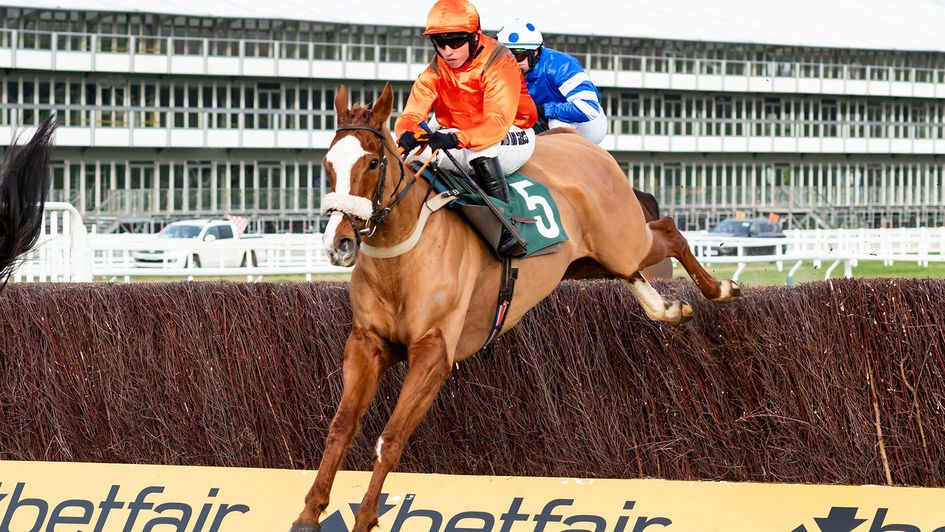 Miami Magic on his way to victory at Cheltenham