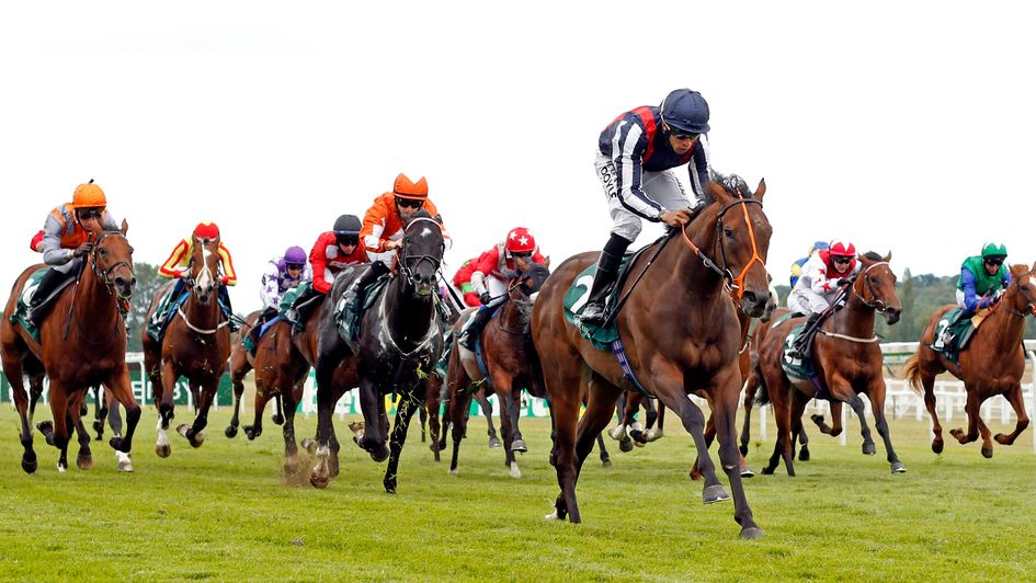 Happy Romance wins under Sean Levey