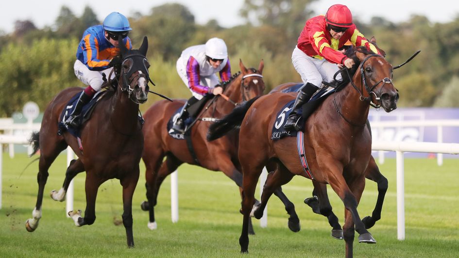 Iridessa wins at Leopardstown