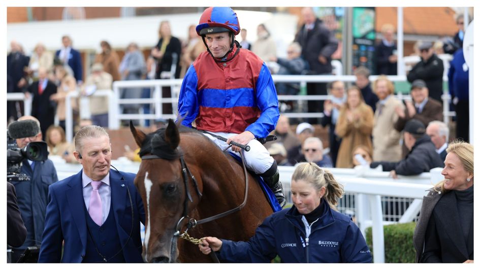 Darkness Falls: Triple Crown hopeful