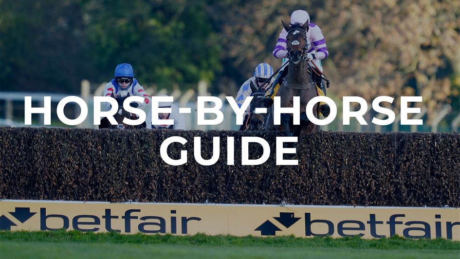 Tingle Creek preview