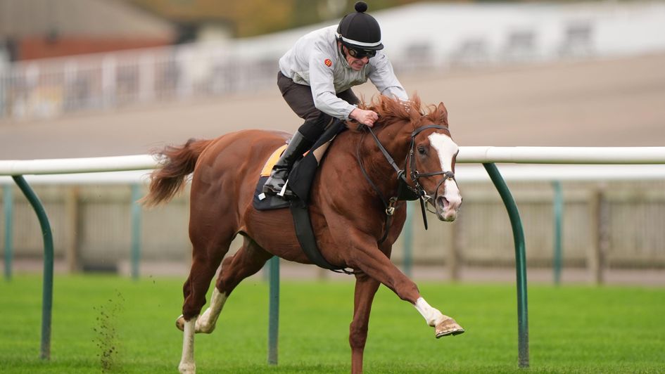 Economics works at Newmarket on Saturday