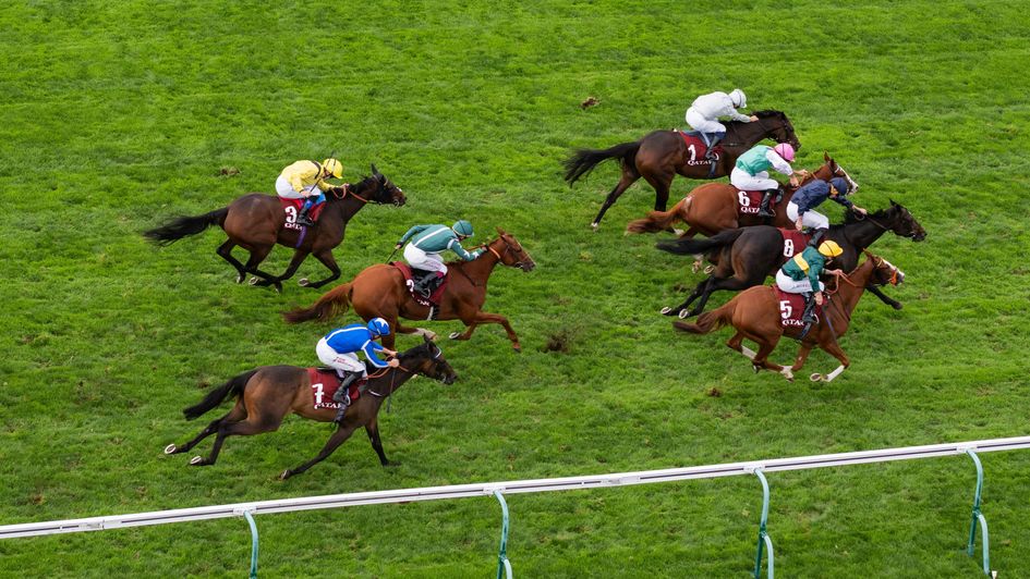 Fairy Glen (silver silks top of picture) wins the Prix de Royallieu