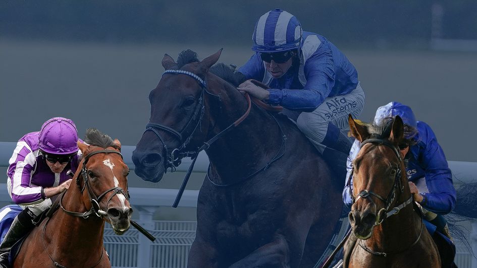 The stars of the 2021 Flat season