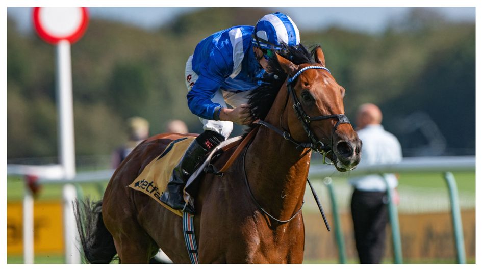 Almeraq wins the Sprint Cup