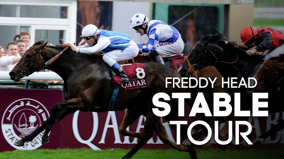 Check out the guide to Freddy Head's Longchamp team