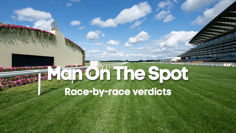 Man On The Spot's previews for every race