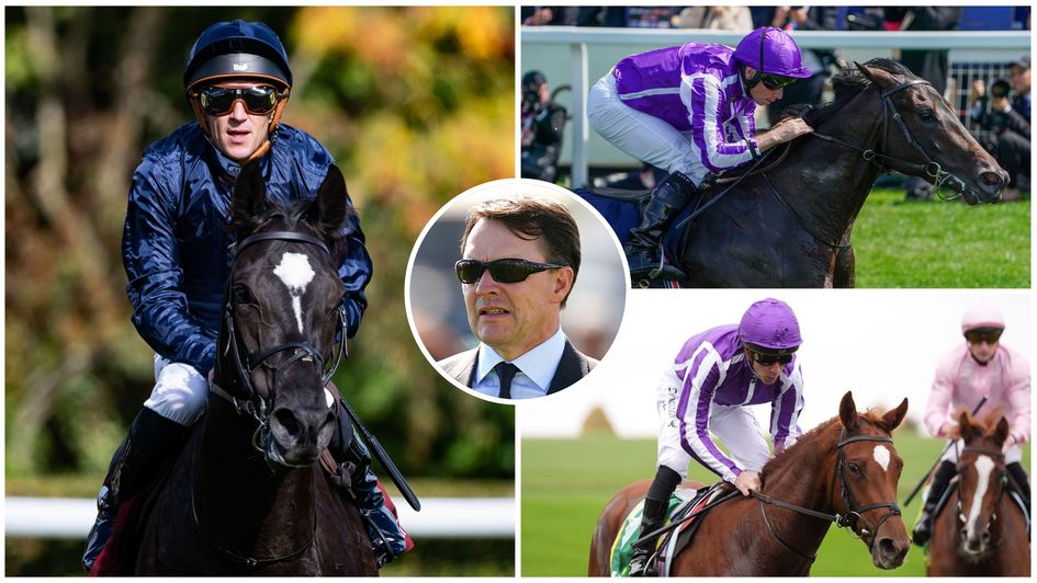 Aidan O'Brien with some of his Classic contenders