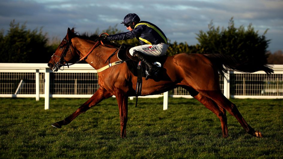 Fiddlerontheroof wins the Tolworth