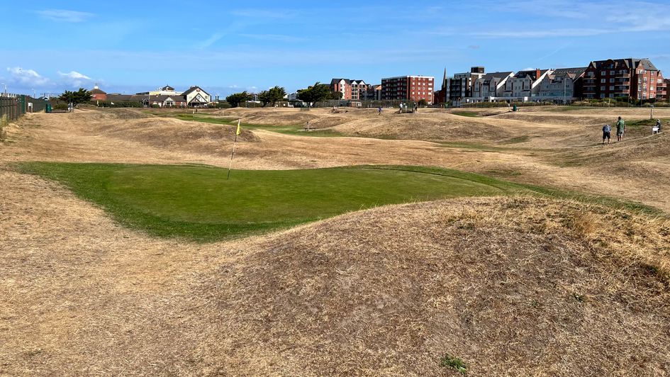 Little Links pitch and putt