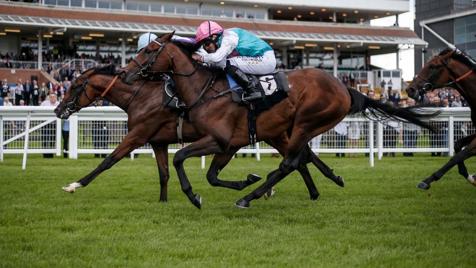 Purser (near side) ground out a narrow win at Newbury