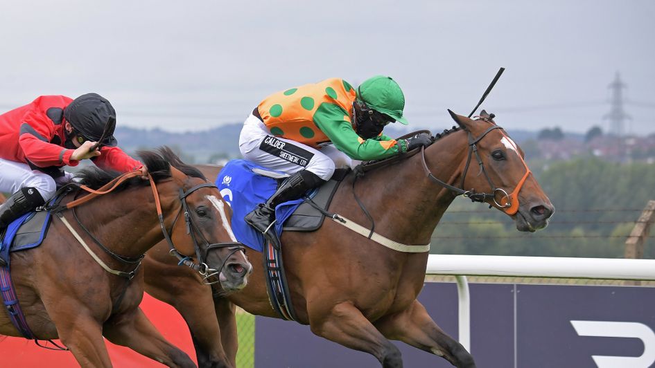 Saluti won a shade cosily in West Yorkshire last week