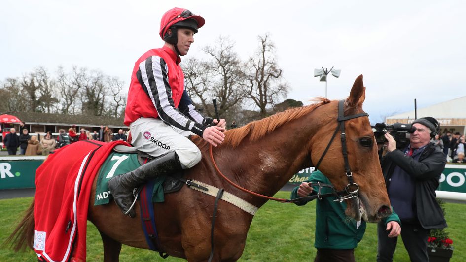 Simply Ned after his Leopardstown win