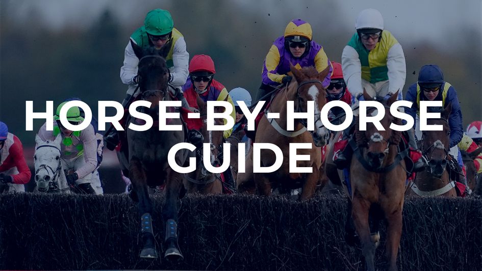 Coral Gold Cup preview