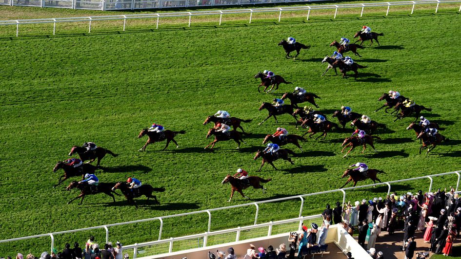 The closing stages of the Buckingham Palace Stakes