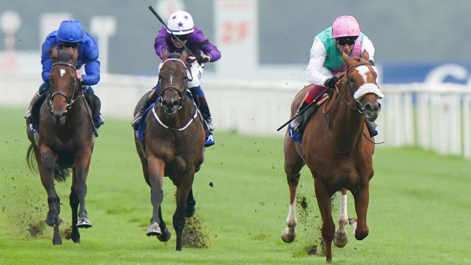 Chaldean routs his Champagne Stakes rivals