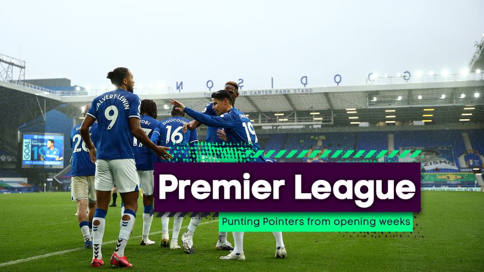 Our Punting Pointers from the opening weeks of the Premier League season