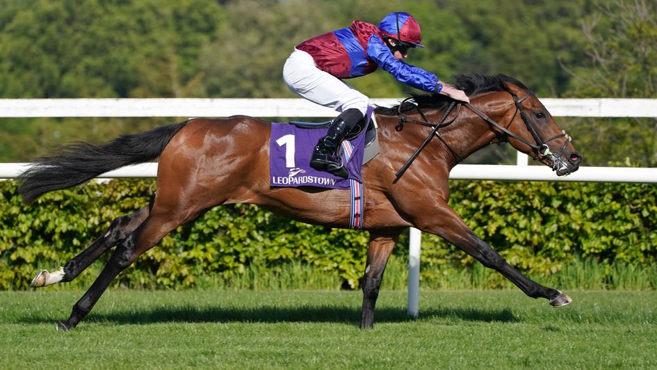 An exciting start from Alfred Munnings