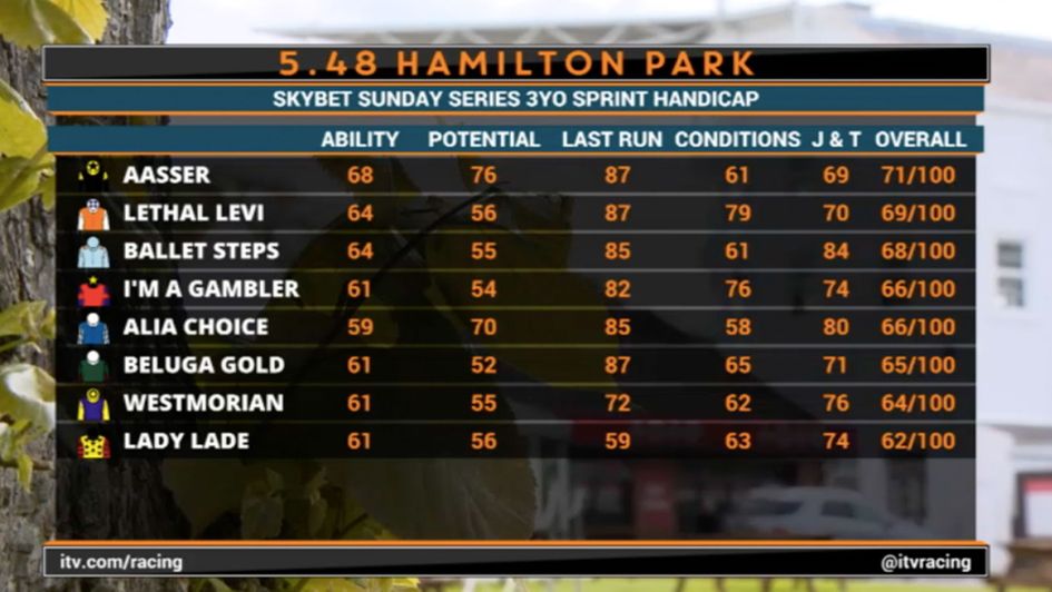 Timeform’s new data grid is featuring on ITV’s Sunday Series programme
