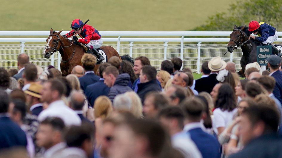 Imperial Fighter makes a winning debut under Oisin Murphy