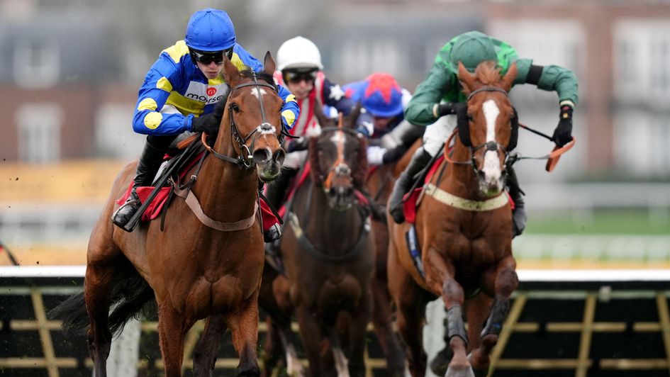 Bibe Mus wins at Sandown